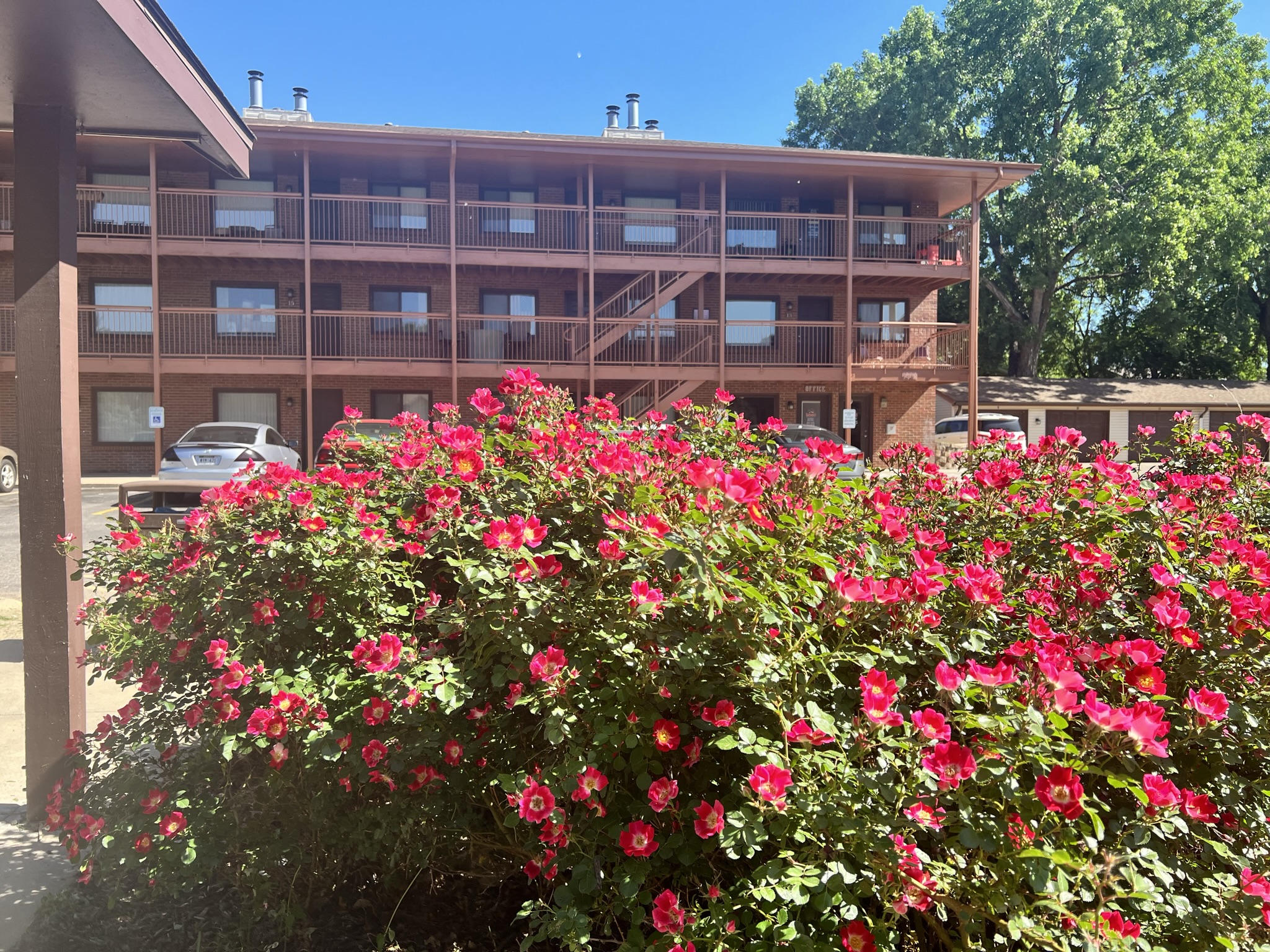 The Willows Apartments